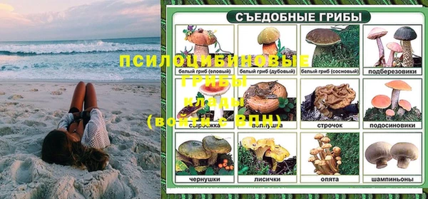 СК Кодинск