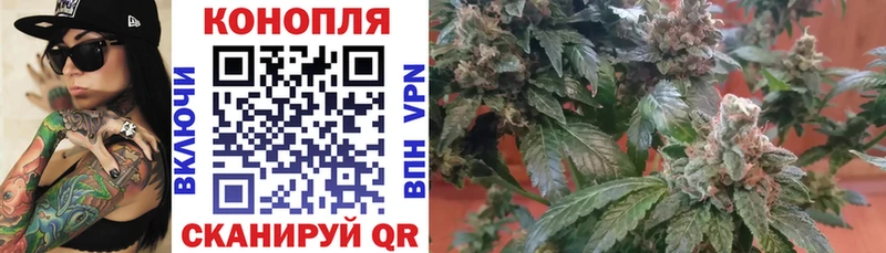 Бошки Шишки Ganja  где купить наркоту  KRAKEN рабочий сайт  Хилок 